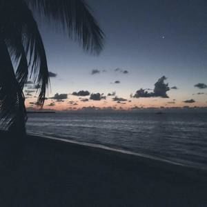 Meet your Posher, Yvette